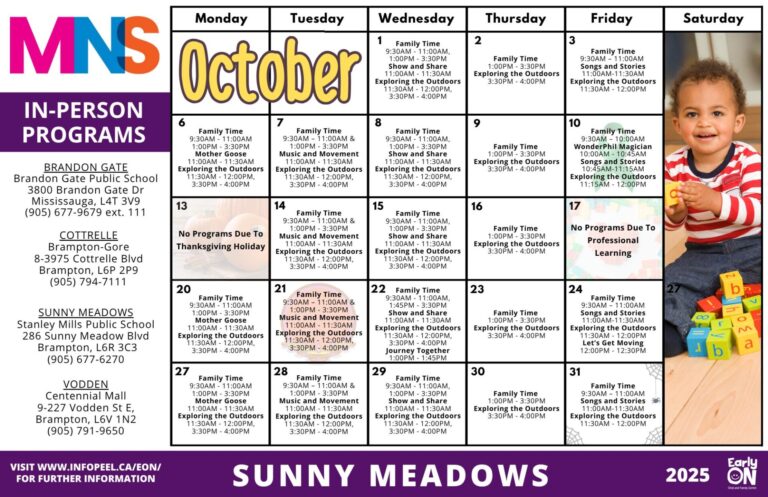 stm calendar