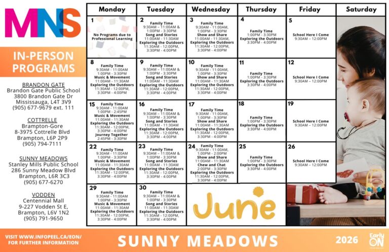 stm calendar